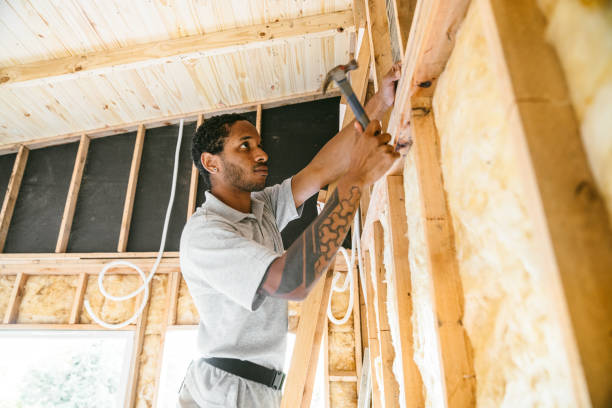 Best Insulation Removal Services  in Rogers, MN
